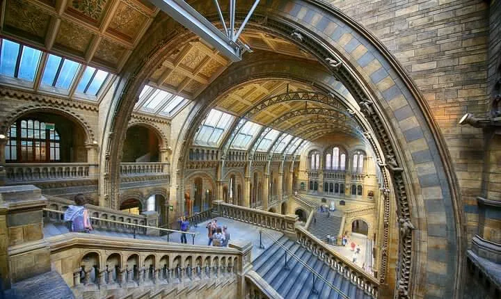 The Natural History Museum of London: Private Half-Day Tour