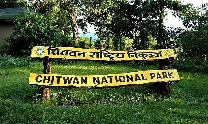 Jeep Safari in Chitwan National Park