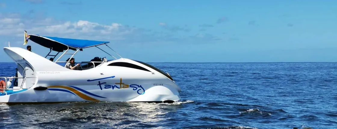 La Palma Dolphin & Whale Watching Cruise Ticket