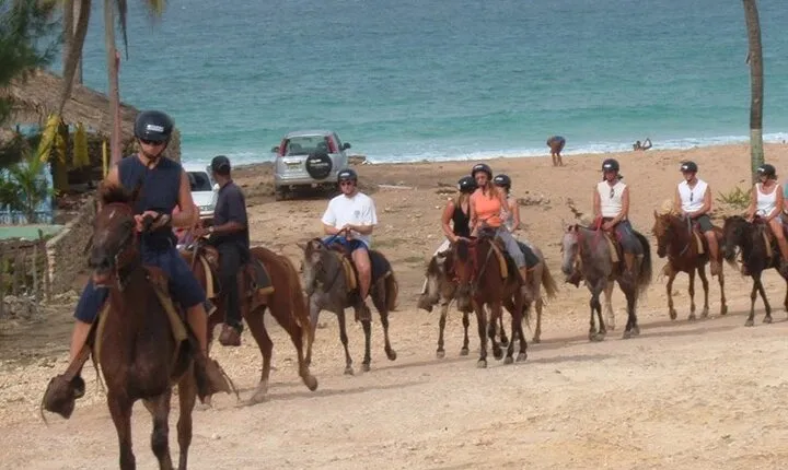 Amazing 3-Hour Horseback Riding at Puerto Plata with Pickup
