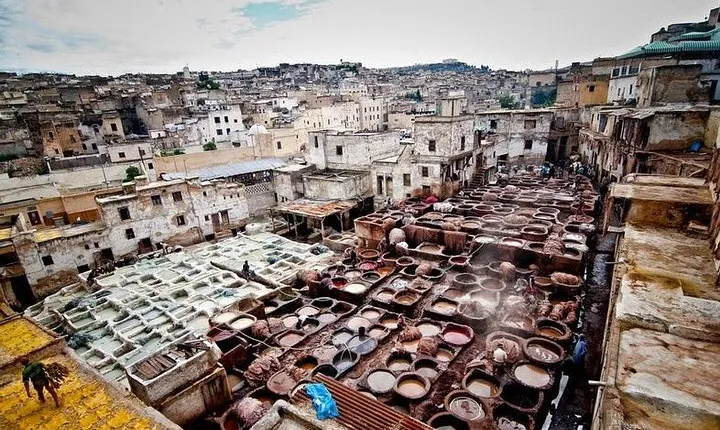 Fez Medina 4-Hour Guided Walking Tour