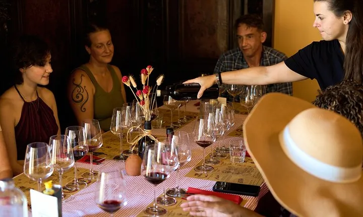 Chianti Wine Tour with Tastings Semi-Private Experience