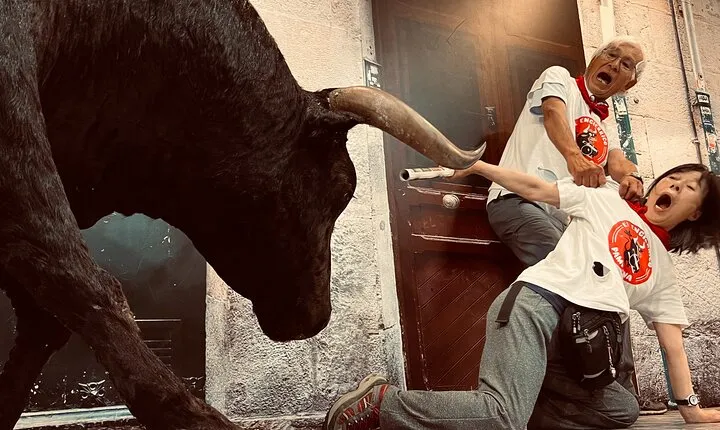 Private tour of Pamplona with lunch in Tolosa 