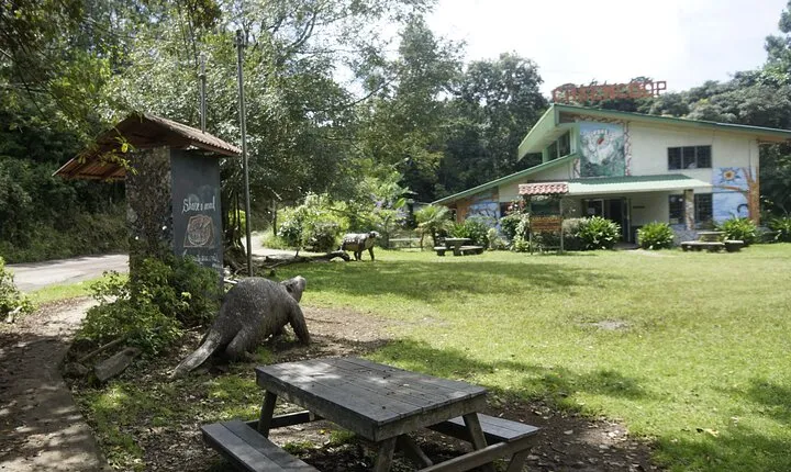 Monteverde Local Experience Guided Tour From Monteverde