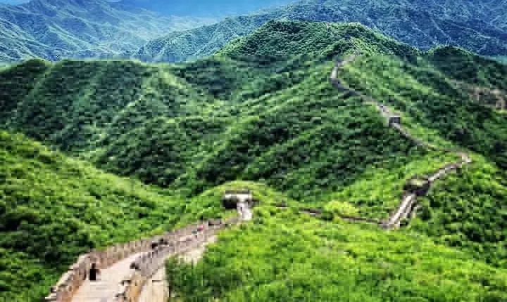 Private Tour To Great Wall Of China and Beijing Hutong 