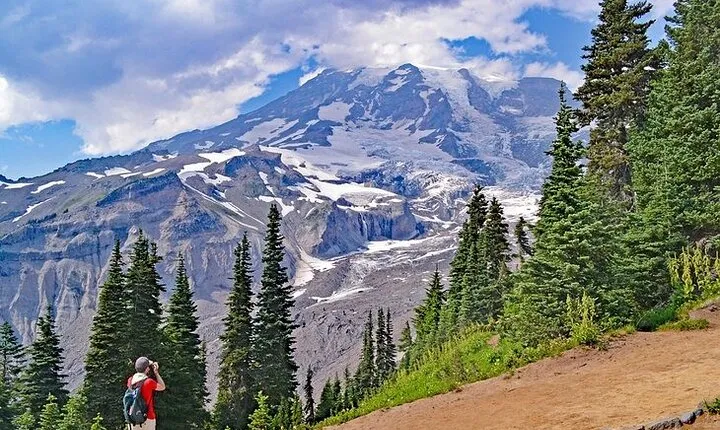 Full-Day Mt Rainier National Park Private Tour in SUV