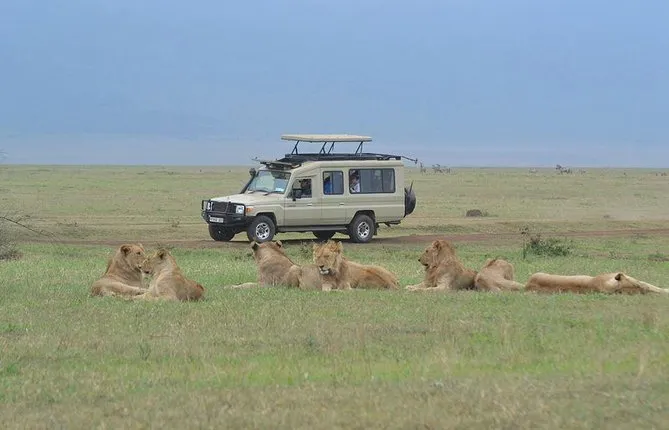5 Days - Tanzania Camping Safari To Serengeti and the Ngorongoro Crater