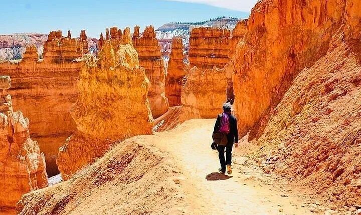 Small Group Day Tour To Explore Bryce Canyon & Zion National Park