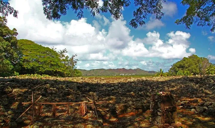 Oahu Off the Beaten Path Small-Group Tour from Honolulu