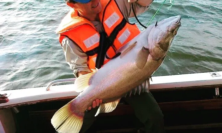 River Nile and Lake Victoria Full Day Fishing