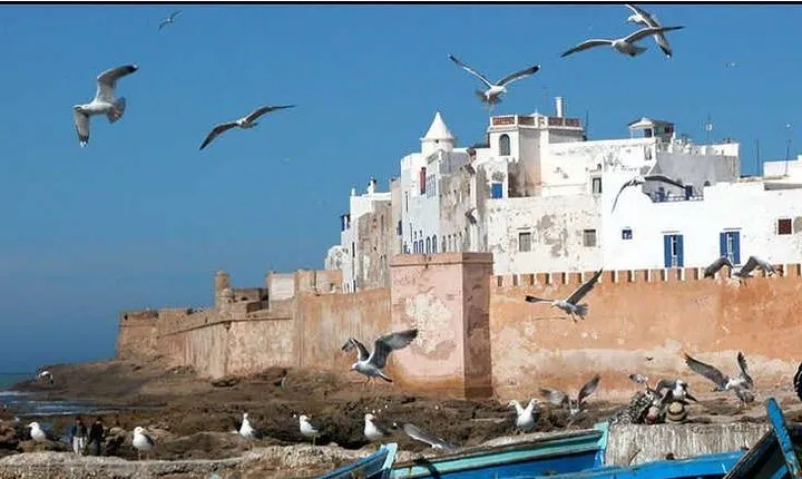 EXCURSION ESSAOUIRA DEPARTURE FROM MARRAKECH 1 DAY 4x4 / MiniBus