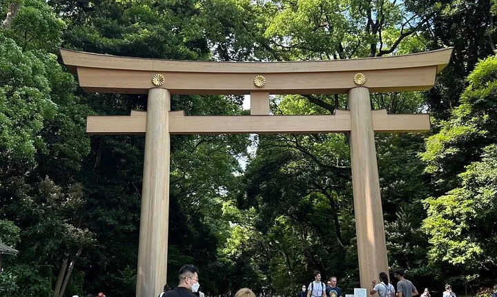 Private Tour in Meiji Shrine with Service and Tea Ceremony