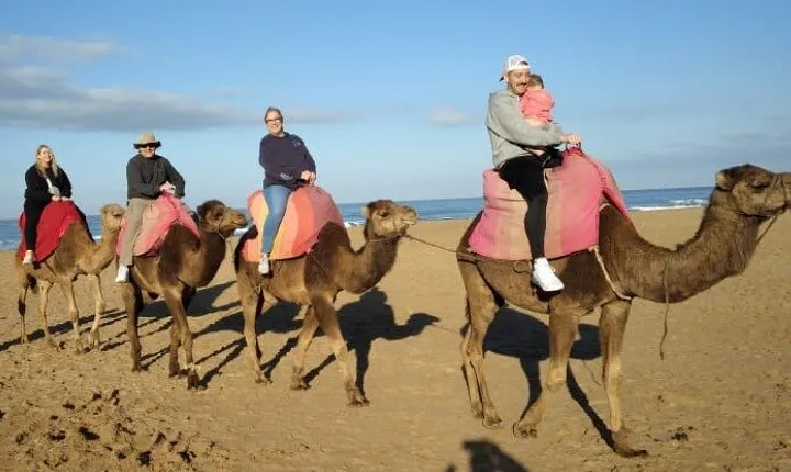 Camel Ride in Tangier