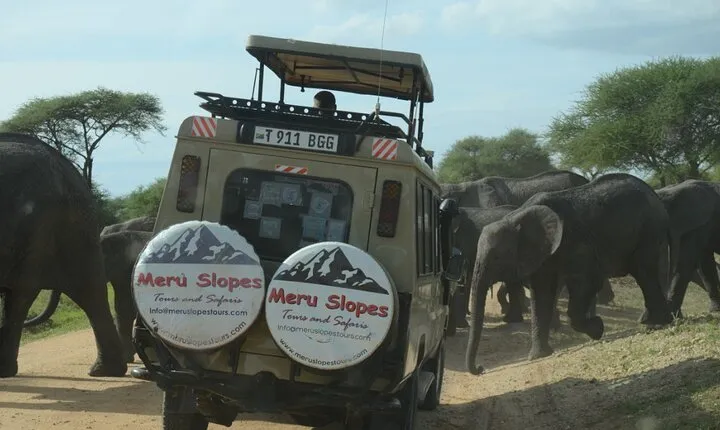 Tarangire National Park Private Day Tour