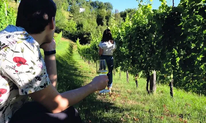 Winery Tour and Tasting 4 wines at Cantina Le Macchie near Rome