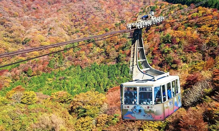 1 Day private Tour in Hakone with Hakone Freepass & Train Ticket