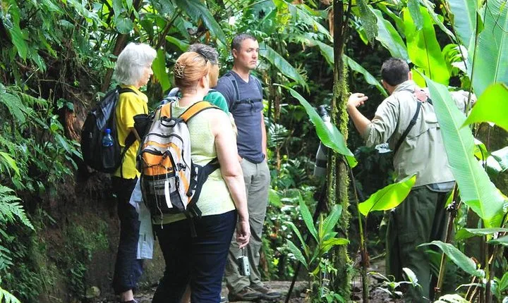 Full Day to Selvatura Monteverde Cloud Forest from Guanacaste