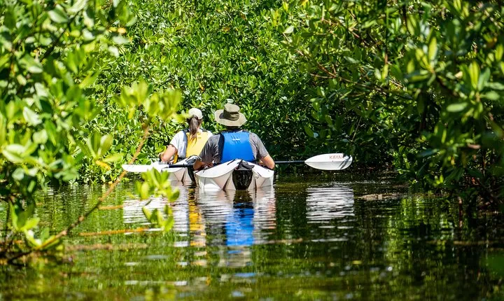 Small Group Glass Bottom Kayak Adventure- Cayman Islands