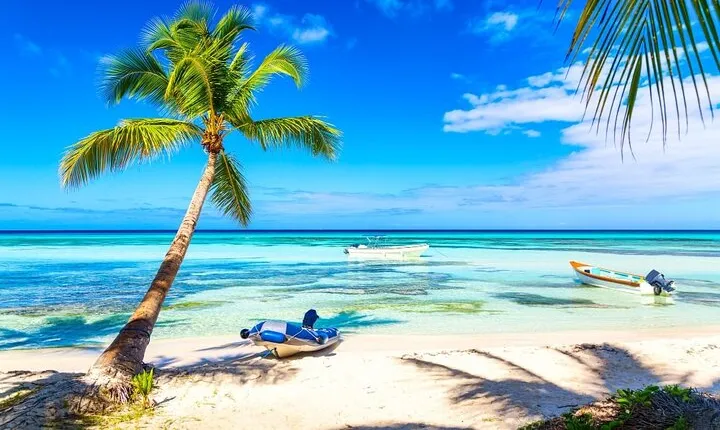 Full Day Saona Island Excursion with Lunch from Punta Cana