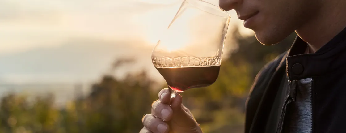 Itria Valley winery tour with tasting