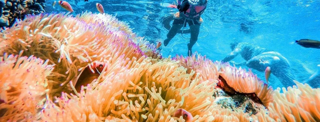 Koh Chang 4 islands snorkelling Rang National Park experience