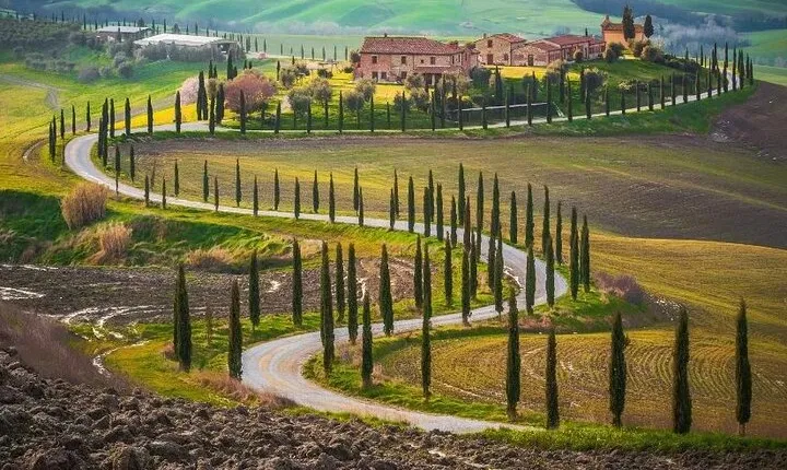 Private Montepulciano and Pienza Tour