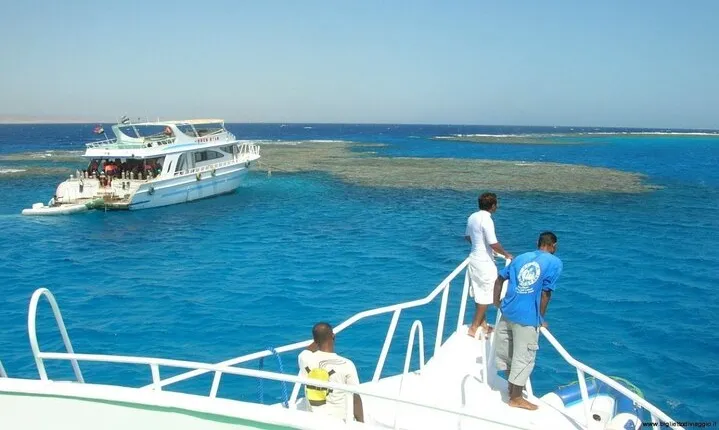 Hamata Island Snorkeling Full Day in Marsa Alam With Lunch