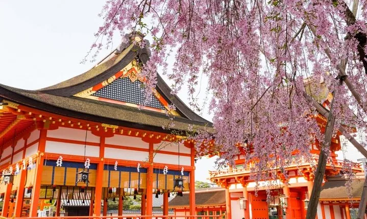 Full Kyoto Magical Experience 1 Day Tour