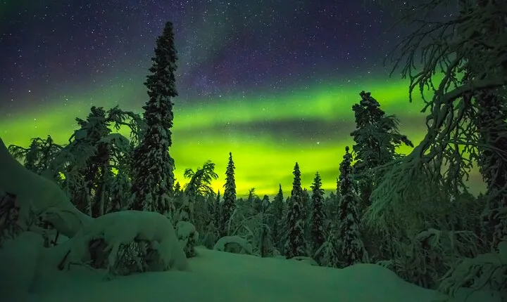Northern Lights Hunting of Rovaniemi