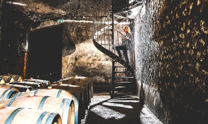 Bordeaux: Wine Tour and Tasting