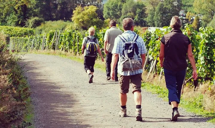 Wine Hiking Sip & Trek