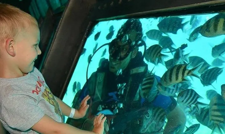 Conquest Semi Submarine Snorkeling Trip With transfer -Hurghada
