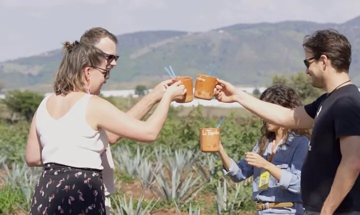 The Essence of Tequila