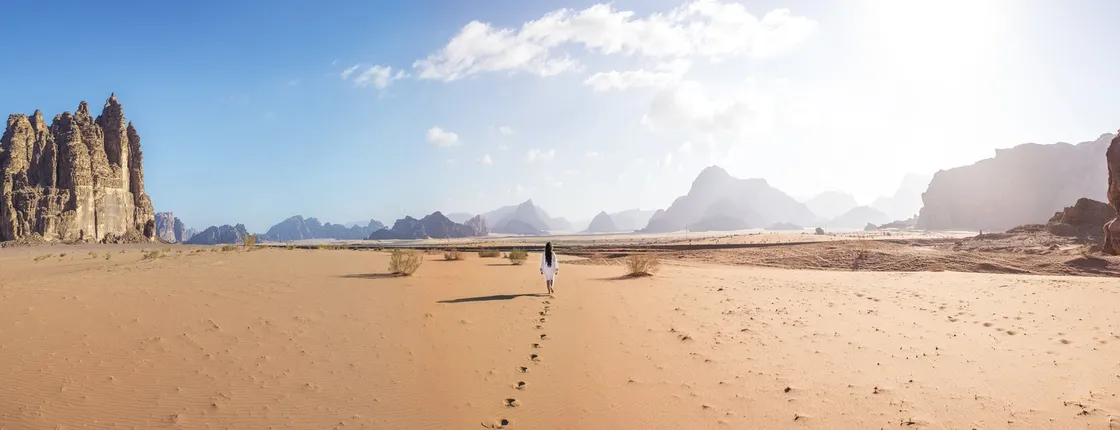 Private full-day excursion to Petra and Wadi Rum from Aqaba
