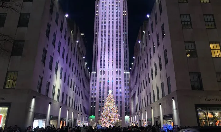 Artful Holiday Lights & Sights