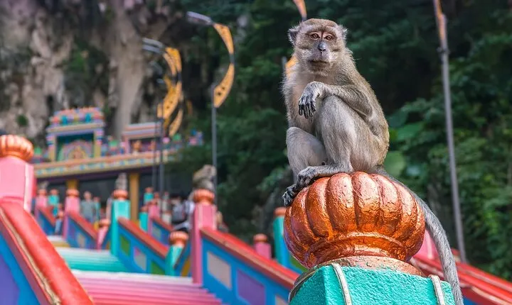 Malaysia Countryside and Batu Caves Tour from Kuala Lumpur