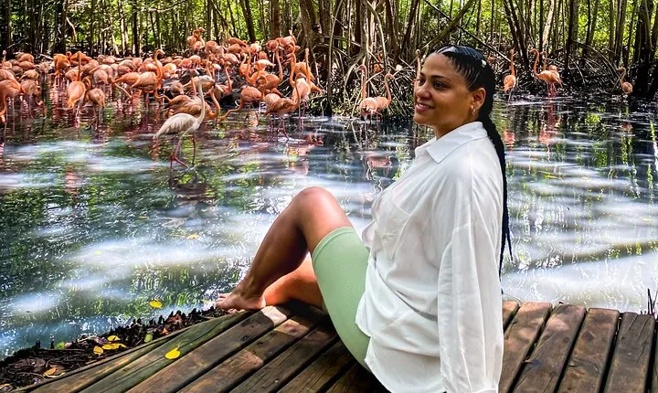 Eco Plan National Aviary and Lunch in Playa Mambo Beach Barú
