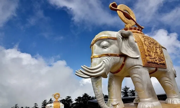 2-Day Private Tour: Leshan Giant Buddha and Mount Emei from Chengdu