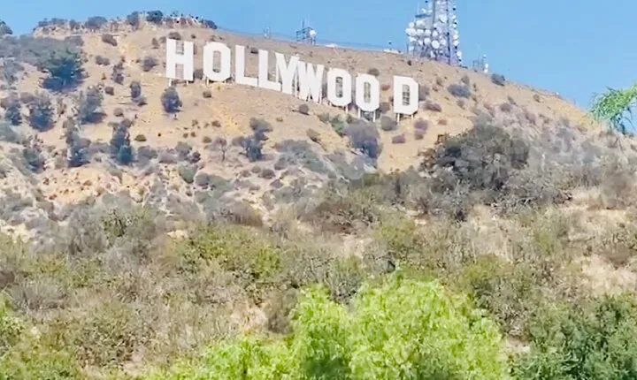 Los Angeles Shore Excursion