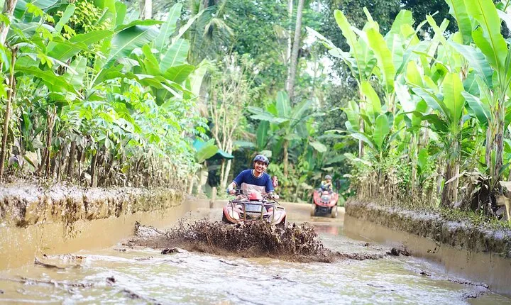 Bali ATV Quad Bike Single with Waterfall and Gorilla Cave+ Lunch