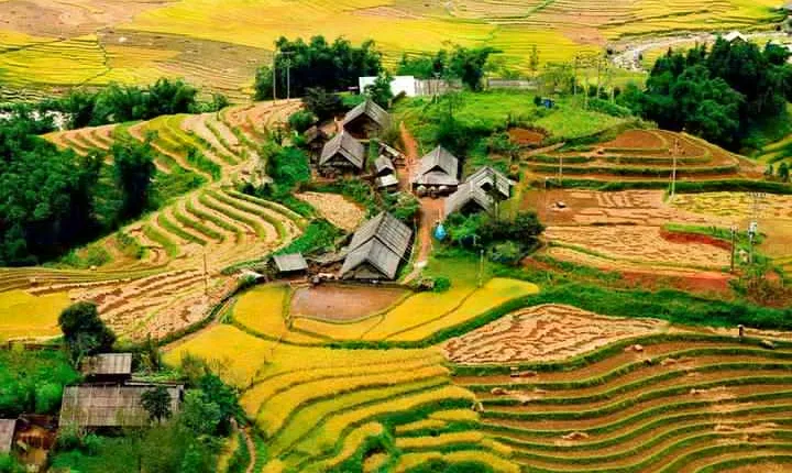 From Hanoi: Sapa Real Experience 2-Day 1 Night at Ethnic Homestay
