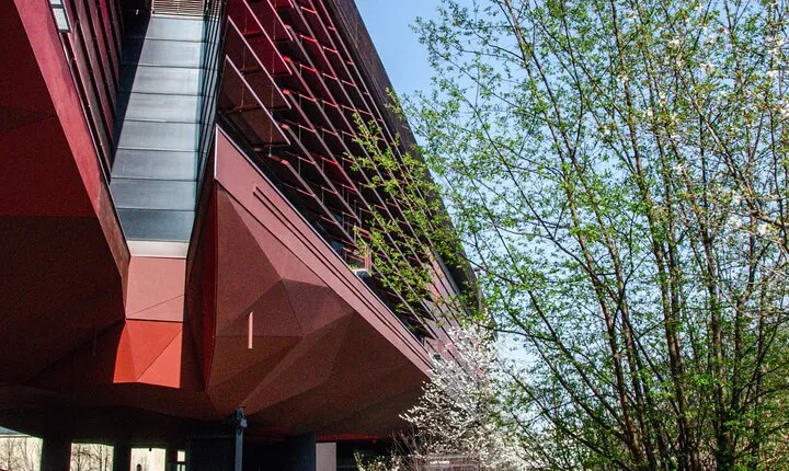 Musee du quai Branly Entry Ticket