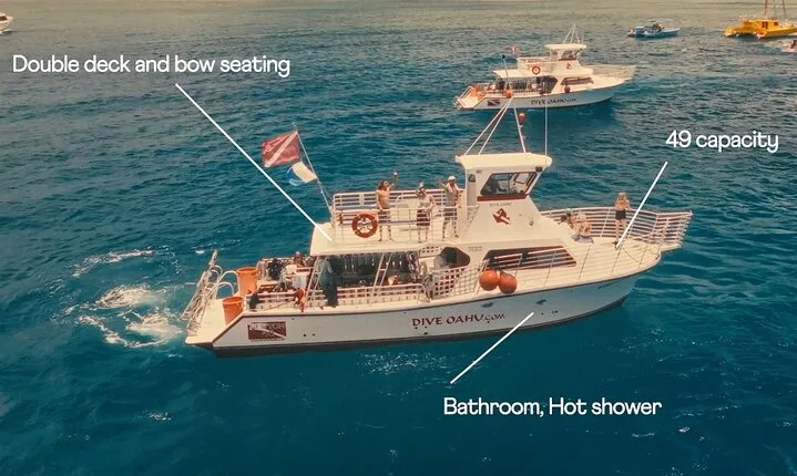 Certified Diver: 2-Tank Night Dive