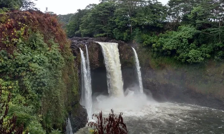 5 Hour Custom Private Tour of Hawaii