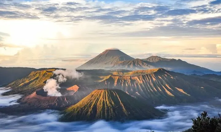 Yogyakarta: Bromo and Ijen Volcano Tour Starts from Yogyakarta