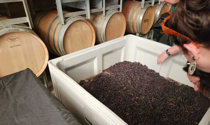 Canberra Wineries Full Day, Electric Vehicle Tour /w lunch
