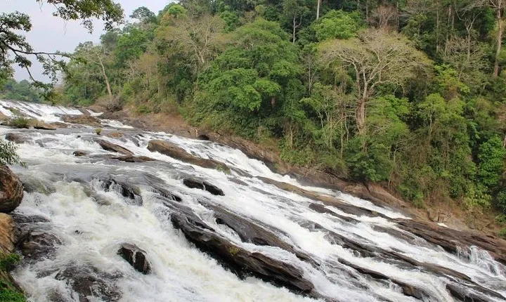 Athirappally & Vazhachal Waterfall Tour with Lunch