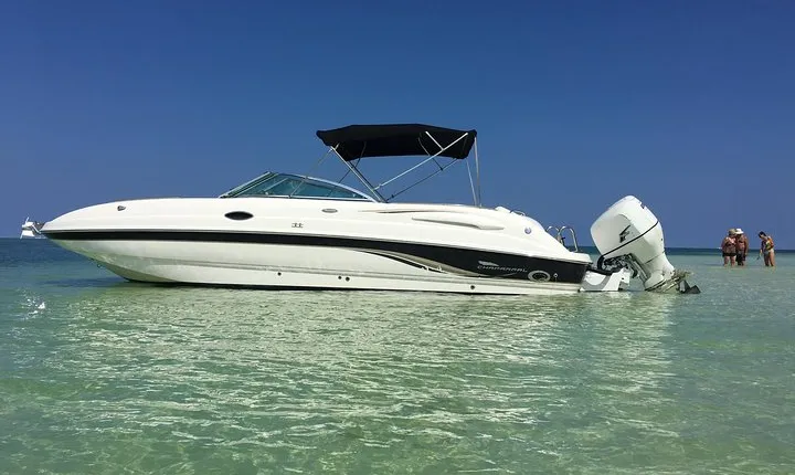 Private Half Day Stingray City, Snorkeling and Starfish Beach Tour