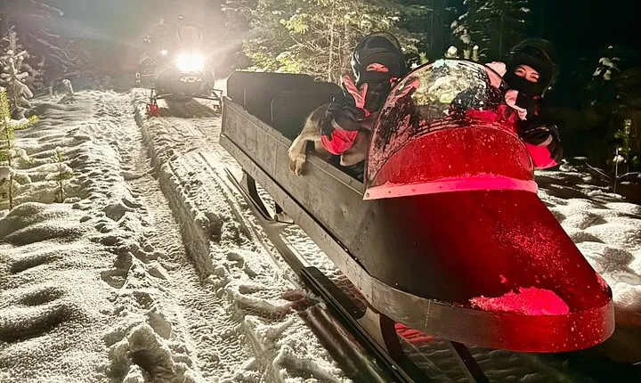 Northern Lights Tour Sleigh Ride