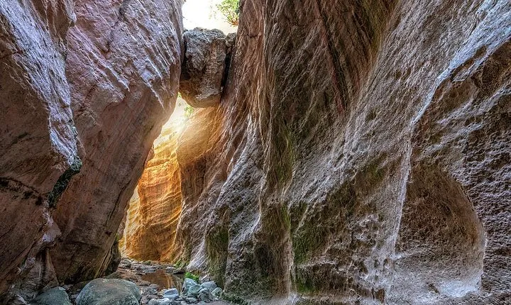 Jeep Safari to Akamas National Park: Avakas Gorge Tour from Paphos